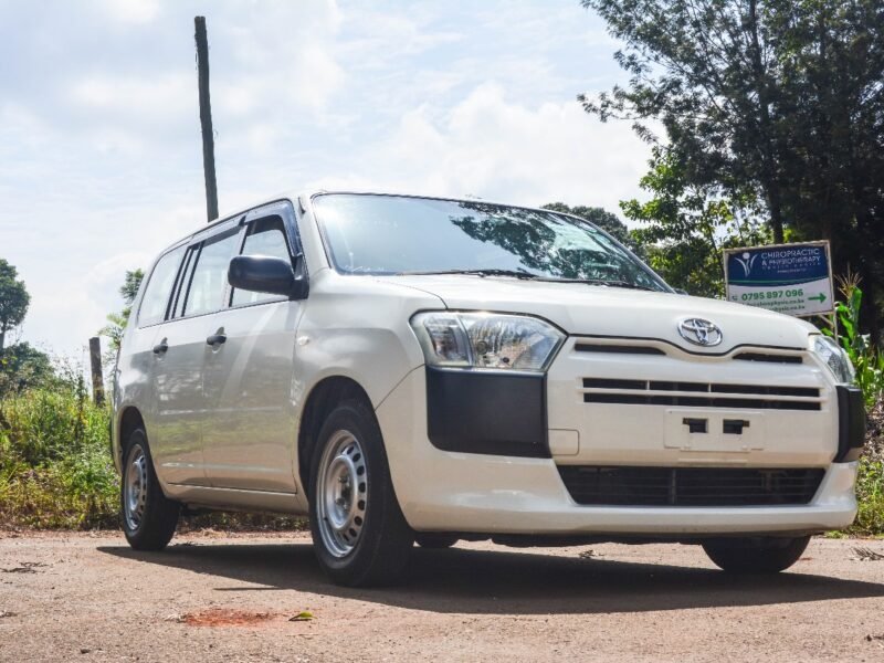2017 Toyota Succeed