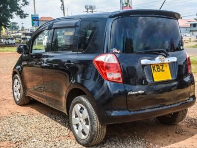 2010 Toyota ractis