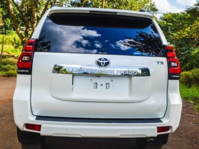 2020 Toyota Landcruiser TX