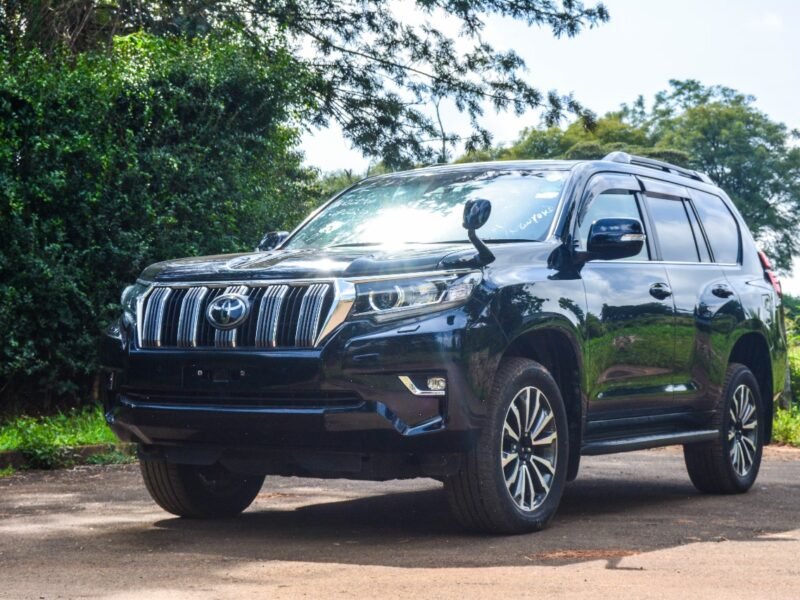 2010 Toyota Landcruiser Prado TXL