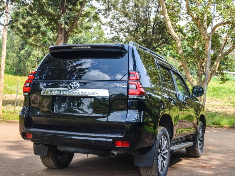2010 Toyota Landcruiser Prado TXL