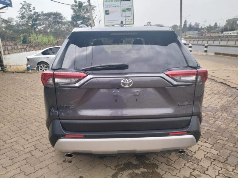 2019 TOYOTA RAV4 ADVENTURE