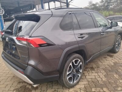 2019 TOYOTA RAV4 ADVENTURE