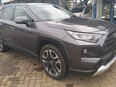 2019 TOYOTA RAV4 ADVENTURE