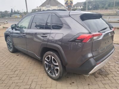 2019 TOYOTA RAV4 ADVENTURE