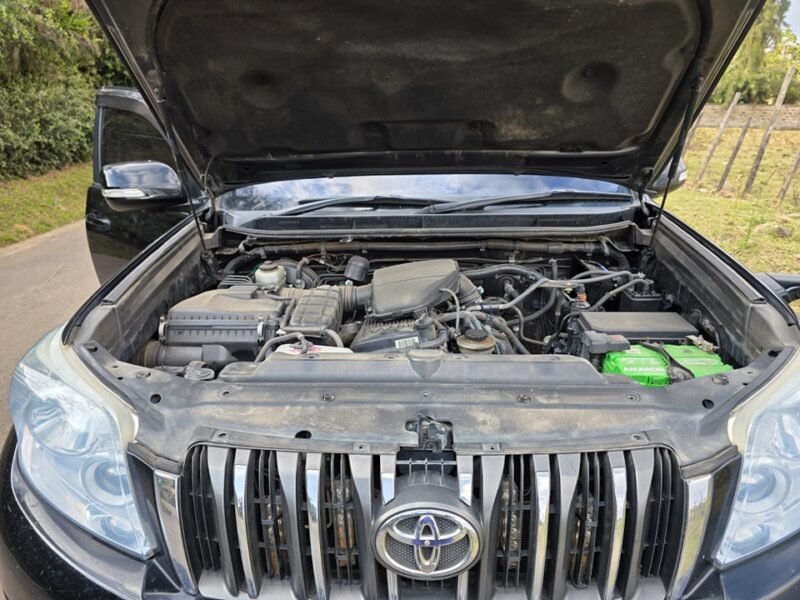2013 Toyota prado Tx 150