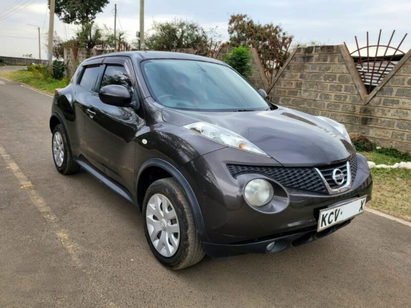 2011 Nissan juke