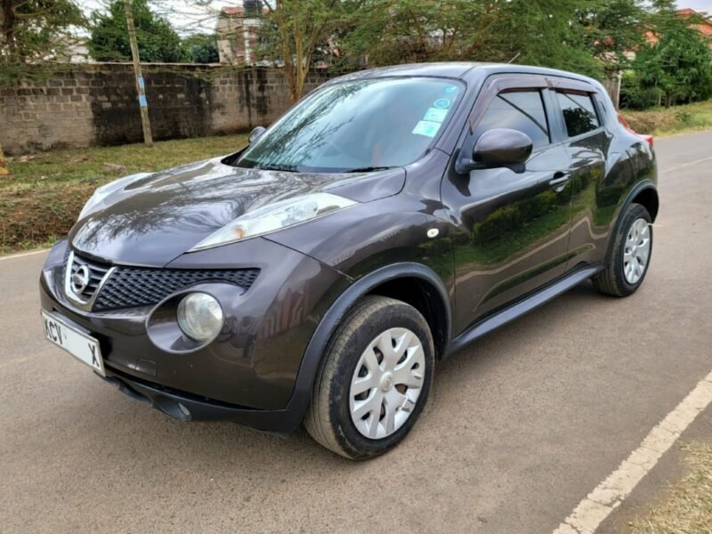 2011 Nissan juke