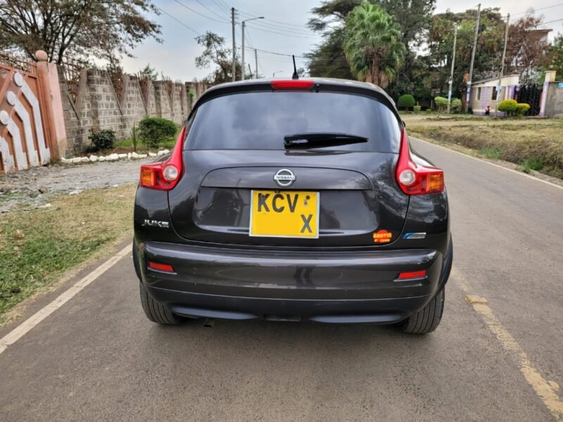 2011 Nissan juke