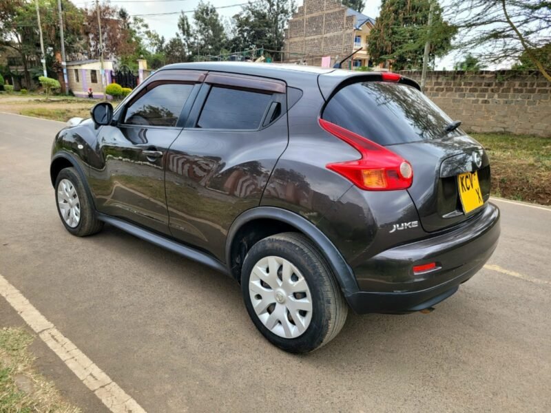2011 Nissan juke