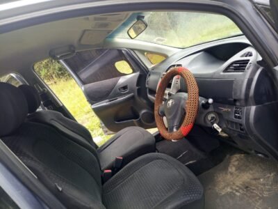 2010 TOYOTA RACTIS