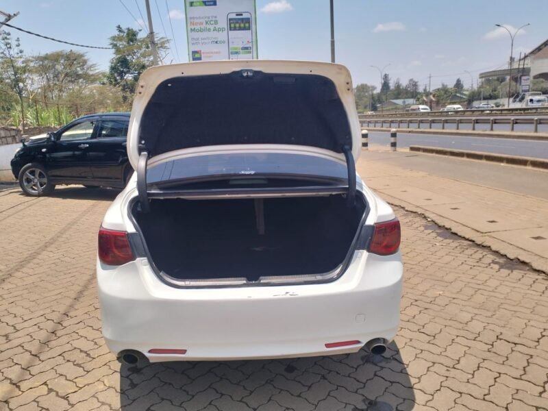 2010 Toyota Mark X