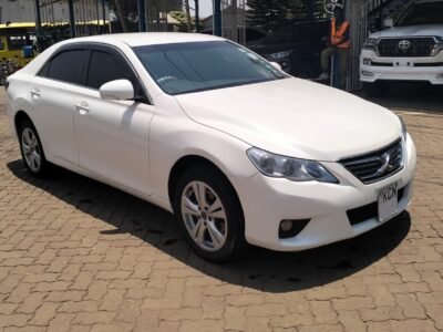 2010 Toyota Mark X