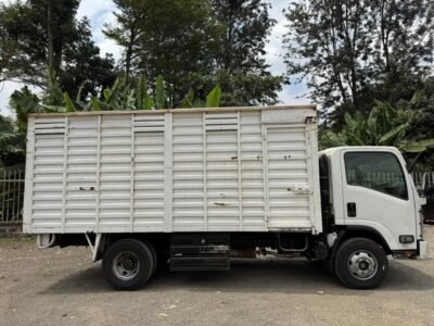 2023 Isuzu NQR