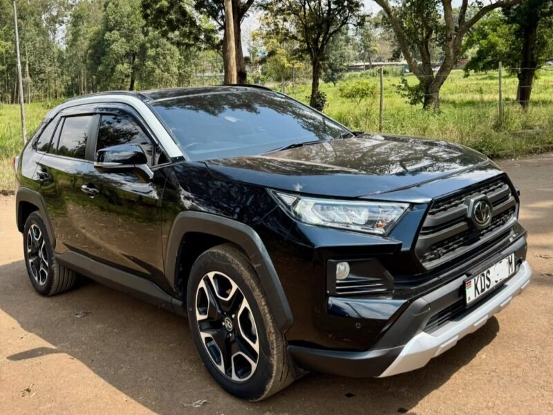 2019 TOYOTA RAV4 ADVENTURE