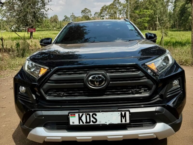 2019 TOYOTA RAV4 ADVENTURE