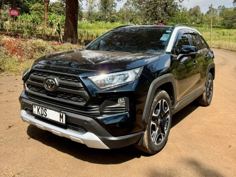 2019 TOYOTA RAV4 ADVENTURE