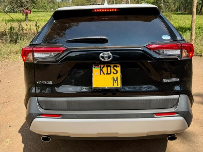 2019 TOYOTA RAV4 ADVENTURE