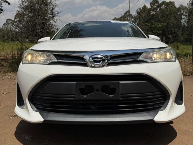 2018 TOYOTA FIELDER